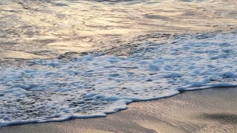 Evening shore reflections Stock Footage 72474670