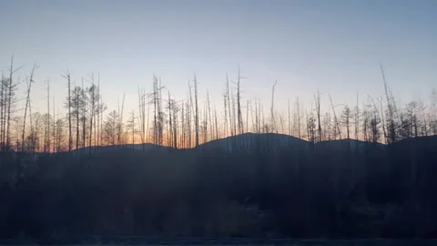 Evening shot from a car while driving through a small forest with mountains Stock Footage 277037370