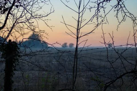Evening silhouettes at dusk Stock Photos