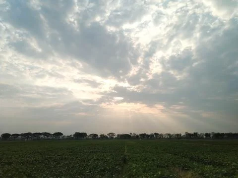 Evening Sky and Rice Fields Stock Photos