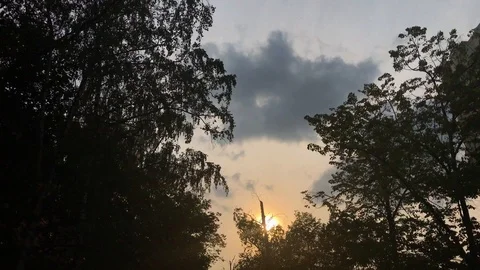Evening sky and warm sunset, trees 1 Stock Footage 94776629