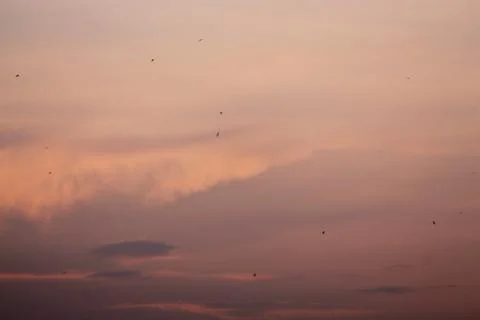 Evening sky background Stock Photos