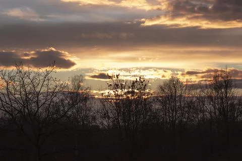 Evening Sky Behind The Trees Stock Photos