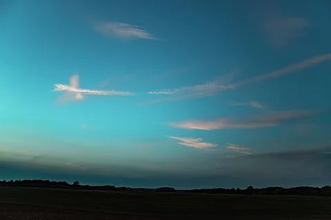 Evening sky with cloud structure, dragonfly, butterfly, palm tree. Stock Photos