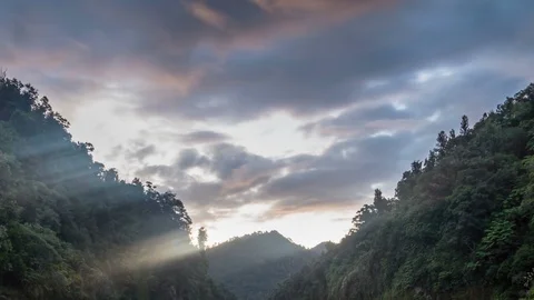 Evening sky clouds and sunbeam light over forest in New Zealand wild nature Stock Footage 106562690