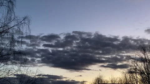 Evening Sky with Dark Clouds and Tree Silhouettes 動画素材 331462186