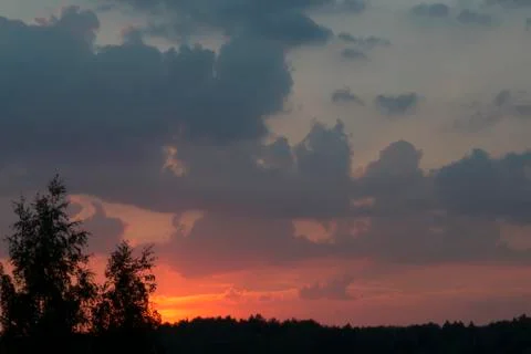 Evening sky during red sunset over the dark forest silhouette Stock Photos