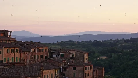 Evening Sky Filled with Birds Over Tuscan Rooftops Vidéo 256359892