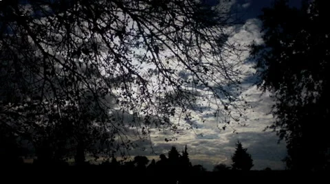 Evening sky. Stock Footage 957461