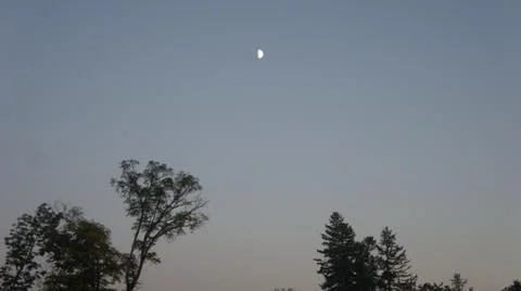 Evening sky in the forest Stock Photos