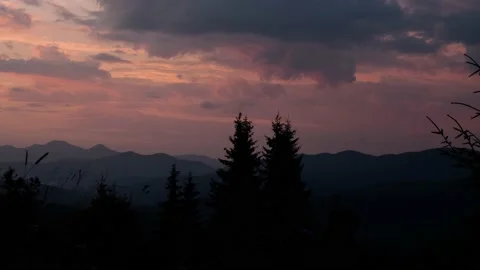 Evening sky  at mountains with pines Stock Footage 159546504