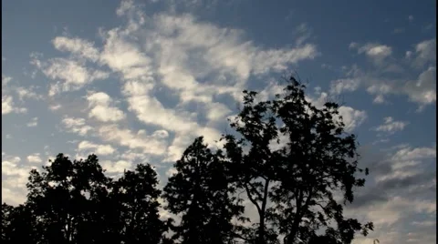 Evening sky over  forest Video stock 40365083