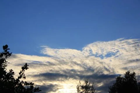 The evening sky over the forest Foto stock