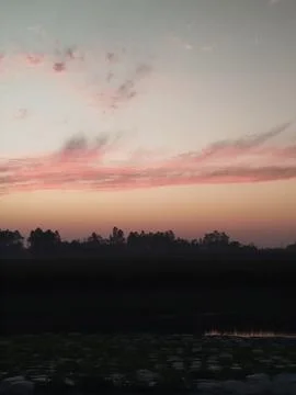 Evening Sky with Pastel Clouds and Bird | Serene Nature Scene Stock Photos