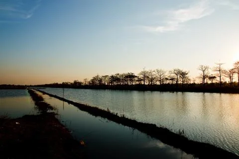 The evening sky. Stock Photos