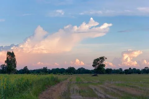 Evening sky Stock Photos