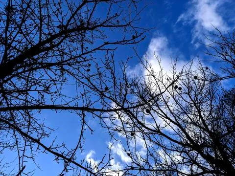 Evening Sky 写真素材