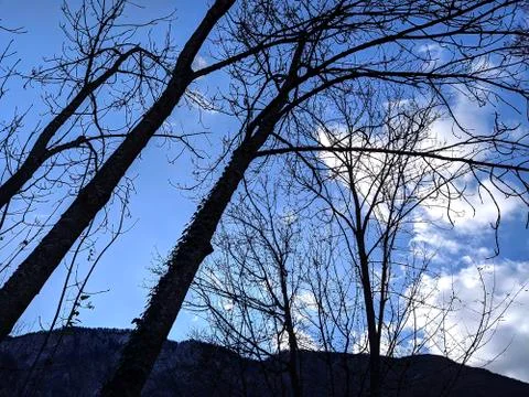 Evening Sky 写真素材