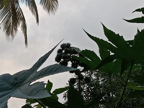 Evening sky Stock Photos