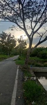 Evening sky Stock Photos