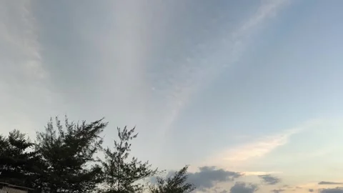 Evening Sky with Pine Tree Silhouettes and Soft Clouds Video stock 341505828