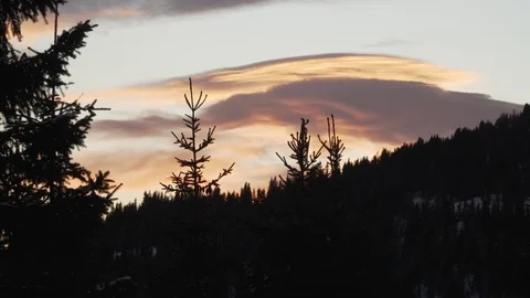 Evening sky with pine trees Stock Footage 100520802