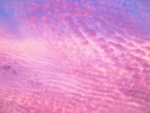 Evening sky with pink clouds Stock Photos