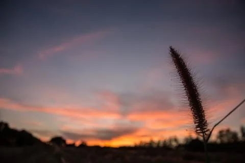 Evening Sky Silhouette Stock Photos