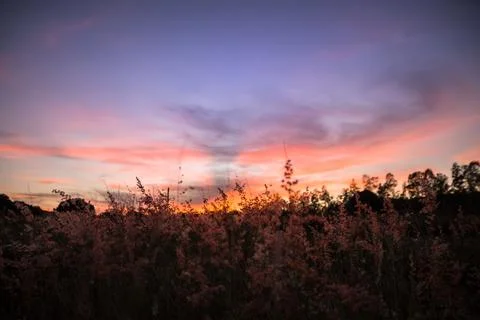 Evening Sky Silhouette Stock Photos