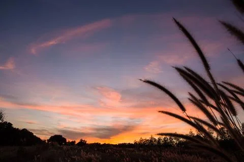 Evening Sky Silhouette Stock Photos