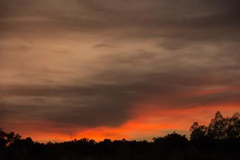 Evening Sky Silhouette Stock Photos