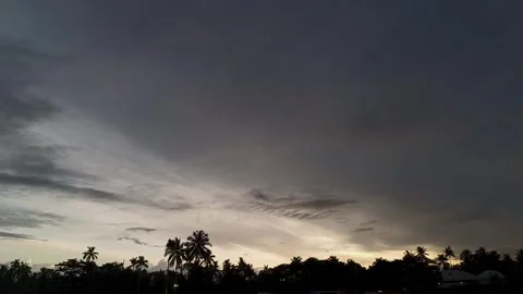 Evening Sky with Silhouettes Stock Footage 313148979