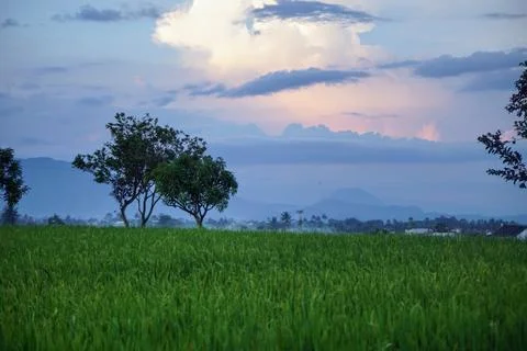 Evening sky view with dramatic large clouds illuminated by natural light Foto stock