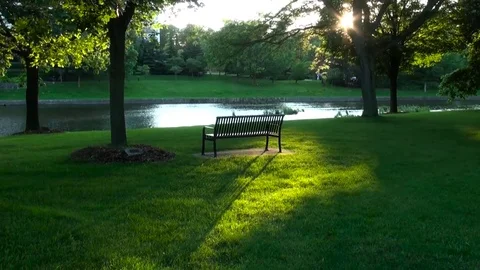 Evening on a small river Stock Footage 80473264