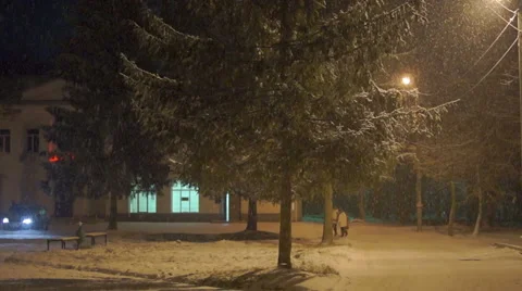 Evening snowfall on the background of beautiful trees 库存影片 45588394