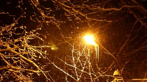 Evening snowfall Stock Footage 15680561