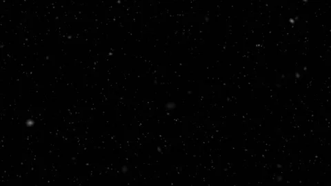 Evening snowfall Stock Footage 231541585