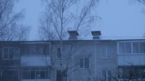 Evening snowfall Video stock 251061656