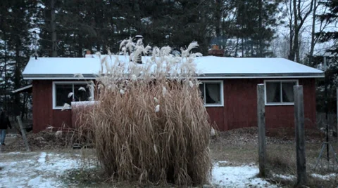 Evening snowfall lights turnon Видео 37013894