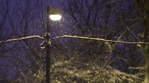 Evening Snowfall in the Park 4K 422 Stock Footage 319964147