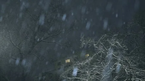 Evening snowfall in slow motion in a city park in the center of Sofia Stock Footage 328313690