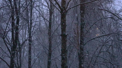 Evening snowfall through the window in the city Video stock 225090257