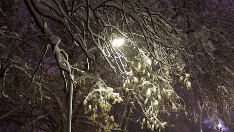 Evening snowstorm, falling snow under the light of a lantern as a background, 4k Stock Footage 168516837