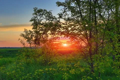 Evening in steppe Stock Photos