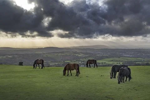 Evening storm clouds gathering over Tavistock and the Dartmoor hills Stock-Fotos