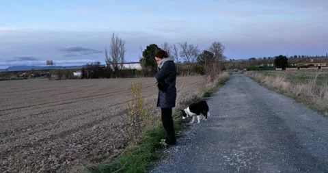 Evening Stroll with Companion Stock Footage 329680913