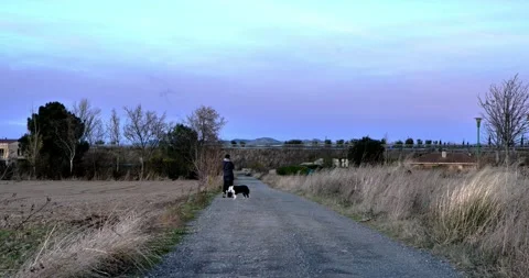 Evening Stroll with Companion: Stock Footage 329680981