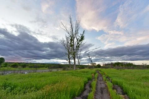 An evening summer landscape with heavy thunderclouds 写真素材
