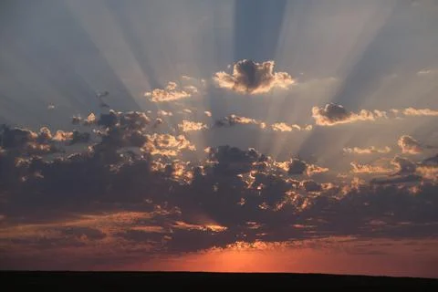 Evening summer sunset, clouds illuminated by the sun pink, skyline Stock Photos