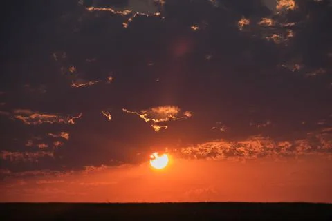 Evening summer sunset, clouds illuminated by the sun pink, skyline Stock Photos